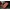 Силиконовый чехол накладка противоударный со вставкой из натуральной кожи для Tecno Camon 15 CD7 "GENUINE ЛЕОПАРД"