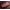 Силиконовый чехол накладка бампер противоударный со вставкой из натуральной кожи для Tecno Camon 19 (CI6n) "GENUINE ПИТОН"