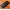 Чехол накладка полностью обтянутый натуральной кожей для Tecno Camon 17 "SIGNATURE ZENUS CROCO"