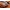 Чехол накладка полностью обтянутый натуральной кожей для Tecno Camon 12 Air CC6 "SIGNATURE СТРАУС НОГА"