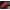 Силиконовый чехол накладка бампер противоударный со вставкой из натуральной кожи для Tecno Camon 17 "GENUINE СТРАУС"